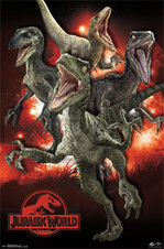 Poster Raptors